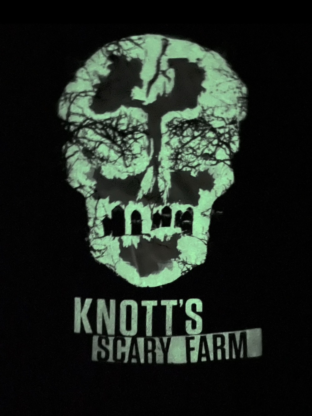 Knott’s Berry Scary Farm Glow Skull Graphic Tee - Black XL